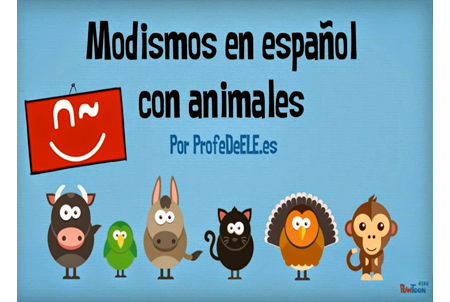 Expresiones en español con animales | Edelsa